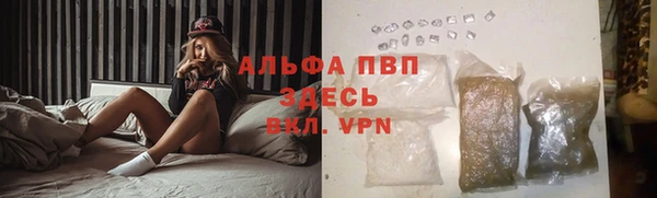 сатива Алексеевка