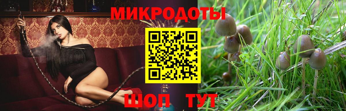 Галлюциногенные грибы Cubensis Куйбышев