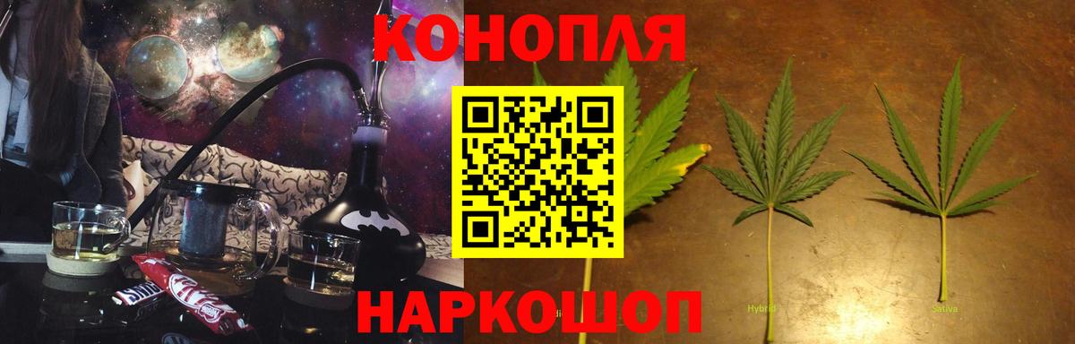Конопля гибрид Куйбышев
